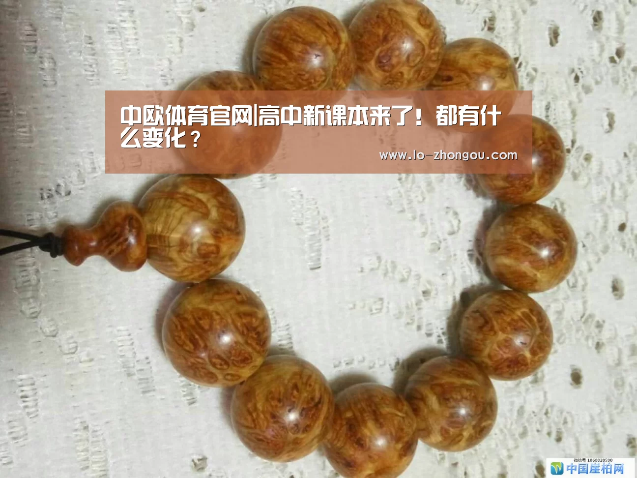 中欧体育官网