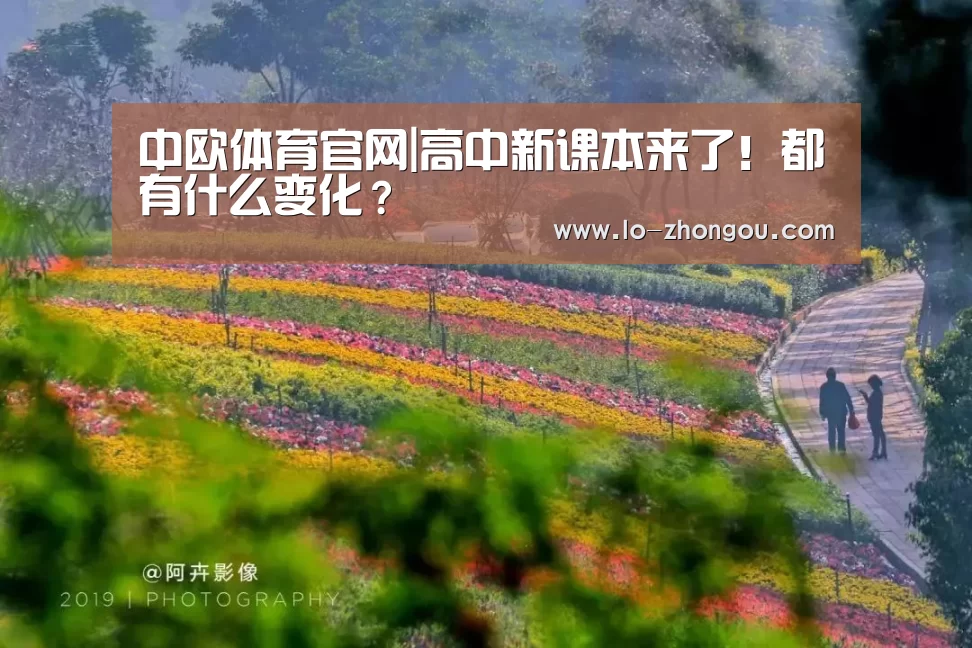 中欧体育